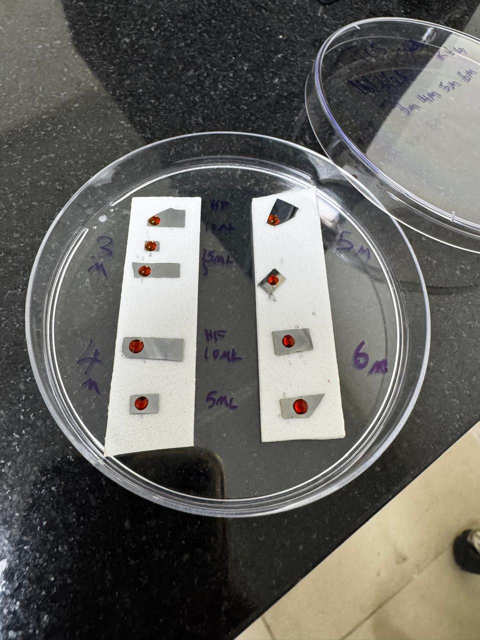 Silicon-Based SERS Biosensor Development